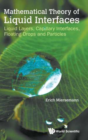 Mathematical Theory of Liquid Interfaces: Liquid Layers, Capillary Interfaces, Floating Drops and Particles de Erich Miersemann