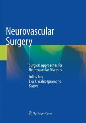 Neurovascular Surgery : Surgical Approaches for Neurovascular Diseases de Julius July