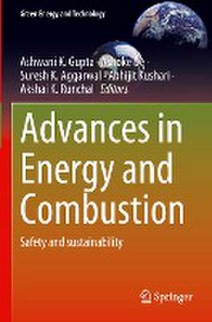 Advances in Energy and Combustion: Safety and sustainability de Ashwani K. Gupta