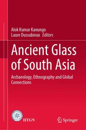 Ancient Glass of South Asia: Archaeology, Ethnography and Global Connections de Alok Kumar Kanungo