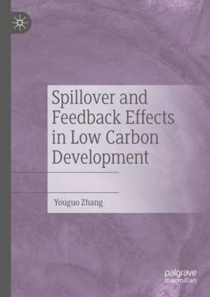 Spillover and Feedback Effects in Low Carbon Development de Youguo Zhang