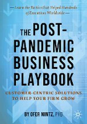 The Post-Pandemic Business Playbook: Customer-Centric Solutions to Help Your Firm Grow de Ofer Mintz