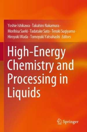 High-Energy Chemistry and Processing in Liquids de Yoshie Ishikawa