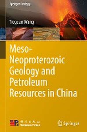 Meso-Neoproterozoic Geology and Petroleum Resources in China de Tieguan Wang