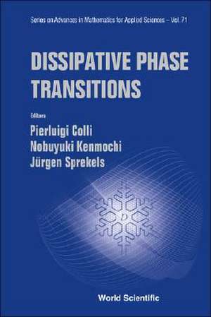 Dissipative Phase Transitions de Pierluigi Colli