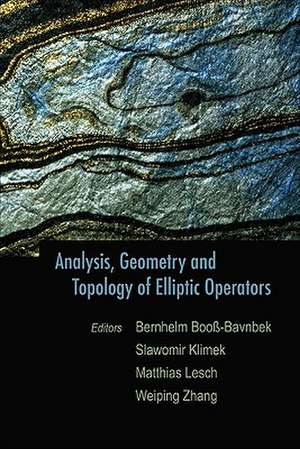 Analysis, Geometry and Topology of Elliptic Operators: Papers in Honor of Krzysztof P Wojciechowski de Matthias Lesch