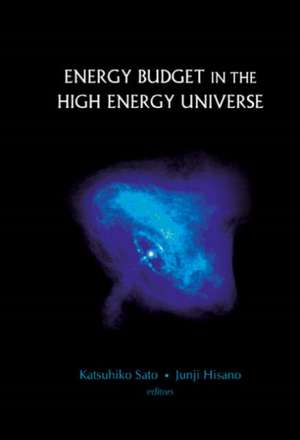 Energy Budget in the High Energy Universe: Proceedings of the International Workshop de Katsuhiko Sato