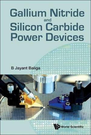 Gallium Nitride & Silicon Carbide Power Devices: Selected Works of Ludwig Faddeev de B. Jayant Baliga