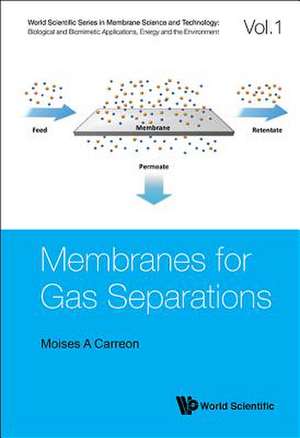 MEMBRANES FOR GAS SEPARATIONS de Moises A Carreon