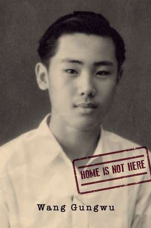 Home Is Not Here de Wang Gungwu