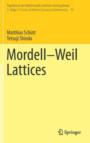 Mordell–Weil Lattices de Matthias Schütt