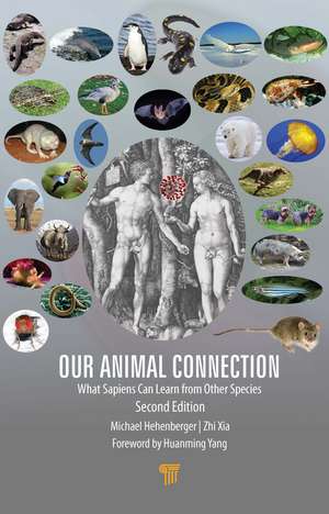 Our Animal Connection: What Sapiens Can Learn from Other Species de Michael Hehenberger