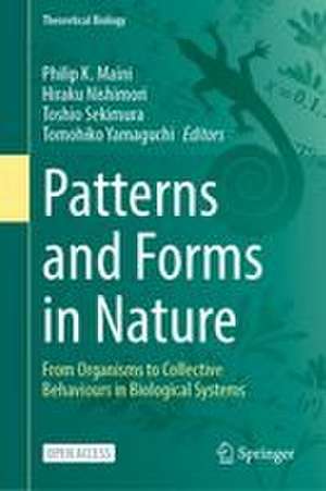 Patterns and Forms in Nature de Hiraku Nishimori