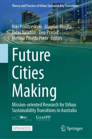 Future Cities Making de Niki Frantzeskaki