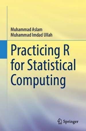 Practicing R for Statistical Computing de Muhammad Aslam