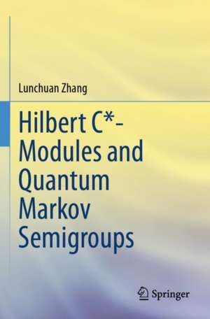 Hilbert C*- Modules and Quantum Markov Semigroups de Lunchuan Zhang