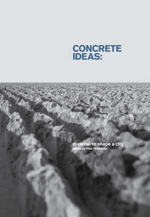 Concrete Ideas de Pina Petricone