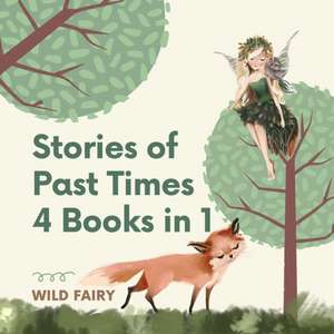 Stories of Past Times de Wild Fairy