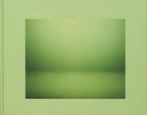 Landscapes de Marcelline Delbecq