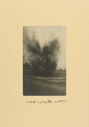 Will Write Soon de David Thomson