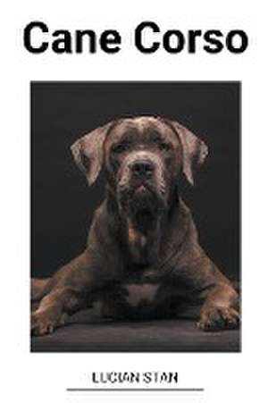 Cane Corso de Lucian Stan