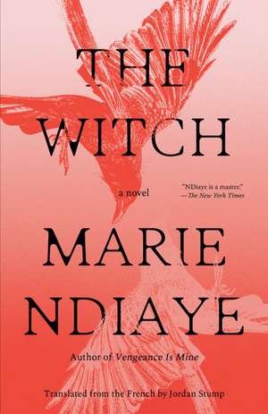 The Witch de Marie Ndiaye
