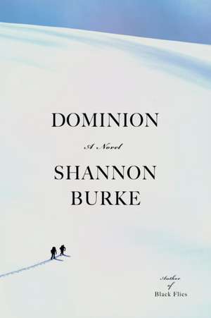 Dominion de Shannon Burke