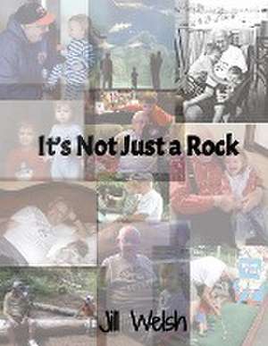 It's Not Just a Rock de Jill Welsh