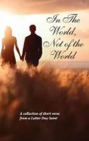 In The World, Not Of The World de Rod Warren