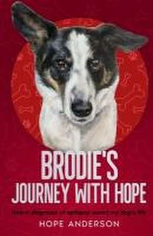 Brodie's Journey With Hope de Hope Anderson