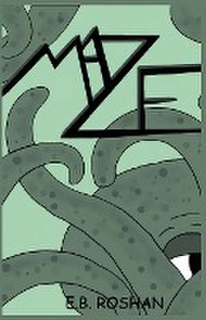 Roshan, E: Maze