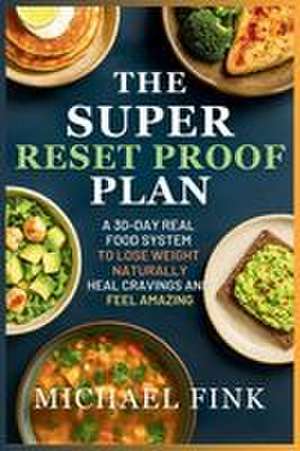The Super Reset Proof Plan de Michael Fink