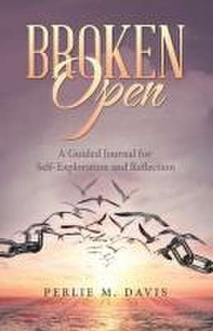 Broken Open de Perlie M. Davis