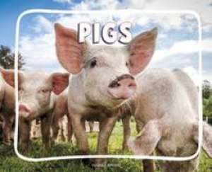 Pigs de Lisa J. Amstutz