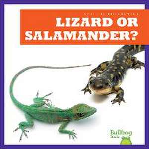 Lizard or Salamander? de Jamie Rice