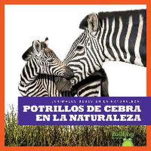 Potrillos de Cebra En La Naturaleza (Zebra Foals in the Wild) de Marie Brandle