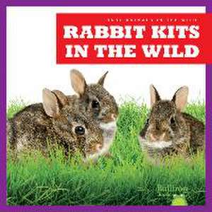 Rabbit Kits in the Wild de Katie Chanez