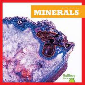 Minerals de Rebecca Pettiford