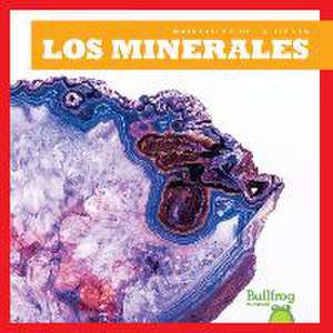 Los Minerales (Minerals) de Rebecca Pettiford