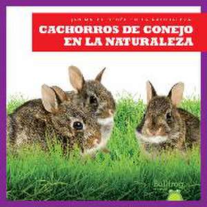 Cachorros de Conejo En La Naturaleza (Rabbit Kits in the Wild) de Katie Chanez