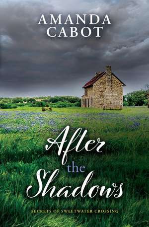 After the Shadows de Amanda Cabot