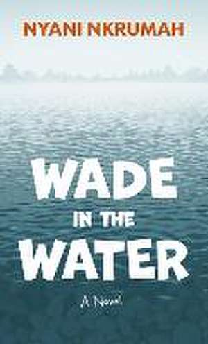 Wade in the Water de Nyani Nkrumah