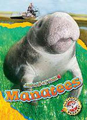 Manatees de Rachel Grack