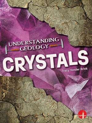 Crystals de Tracy Vonder Brink