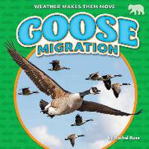 Goose Migration de Rachel Rose