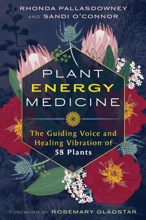 Plant Energy Medicine: The Guiding Voice and Healing Vibration of 58 Plants de Rhonda Pallasdowney