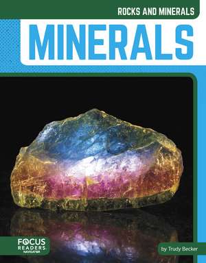Minerals de Trudy Becker