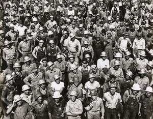 Much Here Is Beautiful