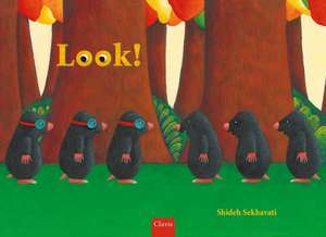 Look! de Shideh Sekhavati