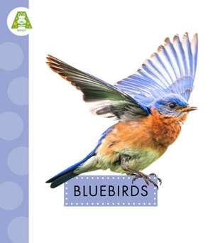 Bluebirds de Anastasia Suen